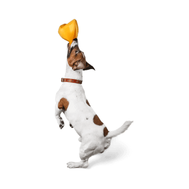 Imagem de representação do prêmio